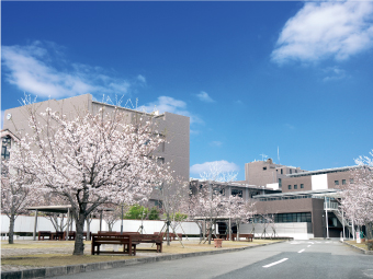 院内公園（春には花見を楽しめます。）